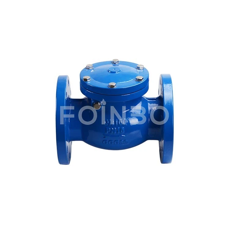 Non Return Swing Check Valve (2)